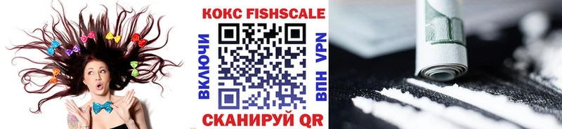 Купить  Шацк  COCAIN FishScale 