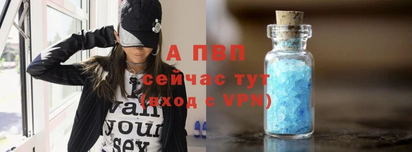прущие грибы Краснослободск