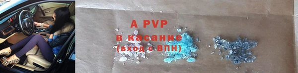 прущие грибы Краснослободск