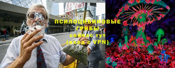 прущие грибы Краснослободск
