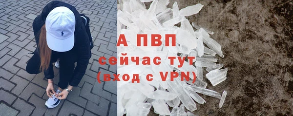 прущие грибы Краснослободск