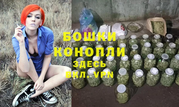 прущие грибы Краснослободск
