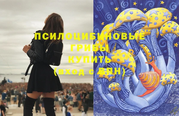 прущие грибы Краснослободск