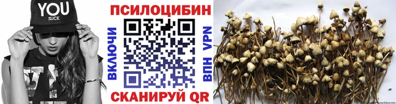 Купить закладки  Шацк  Галлюциногенные грибы мухоморы 